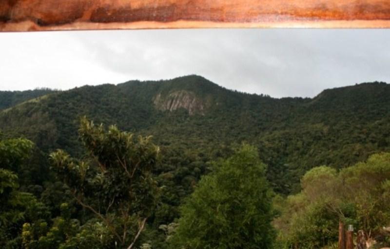 Отель Abrigo Da Reserva Санту-Антониу-ду-Пиньял Номер фото